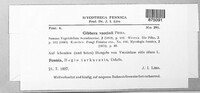 Gibbera vaccinii image